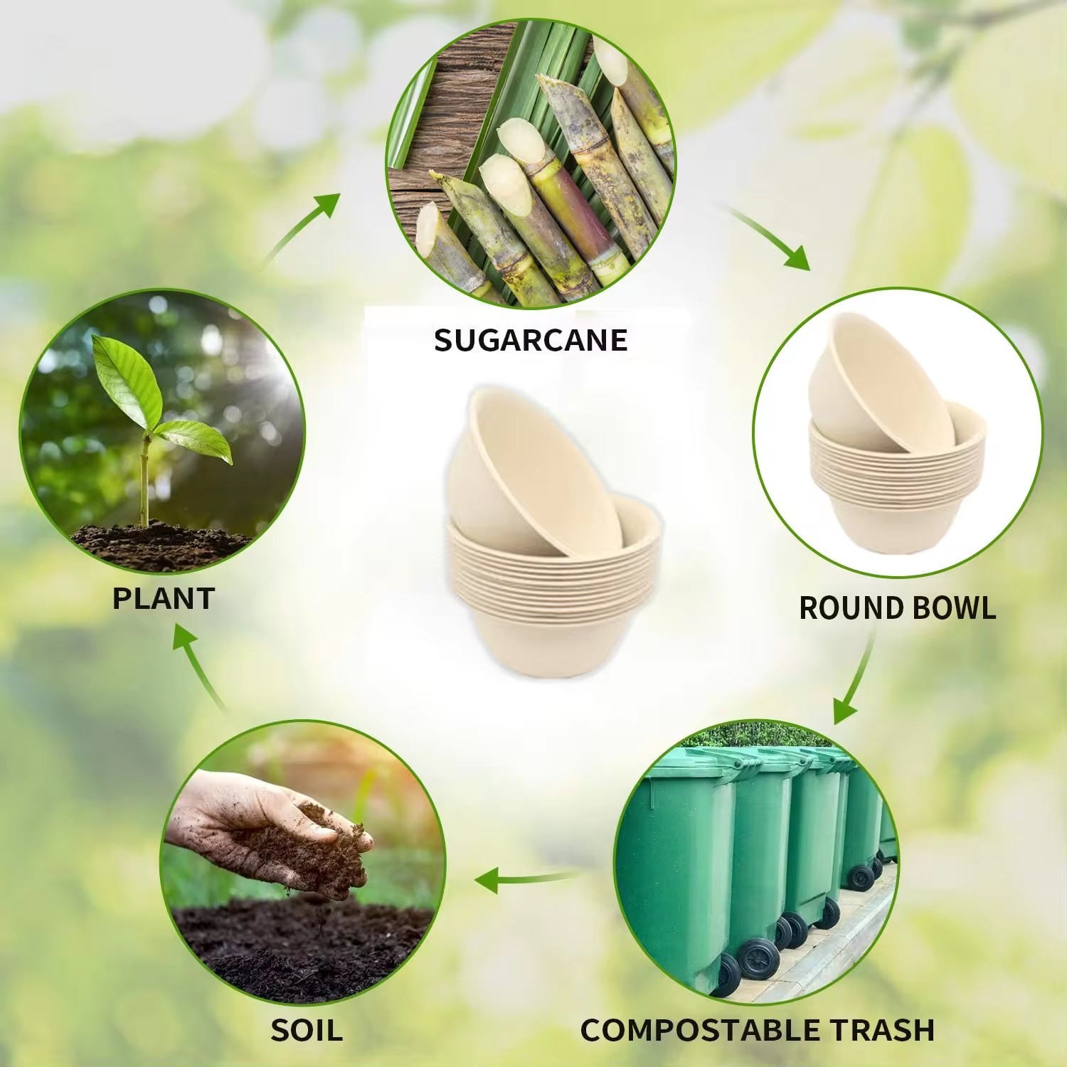 6 Inch Round Disposable Paper Plate Sugarcane Pulp Paper Party Plate Compostable 100% Biodegradable Bagasse Plates