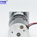 Customizable Brushed PMDC Gear Motor With Brake 24v High Torque 100Rpm