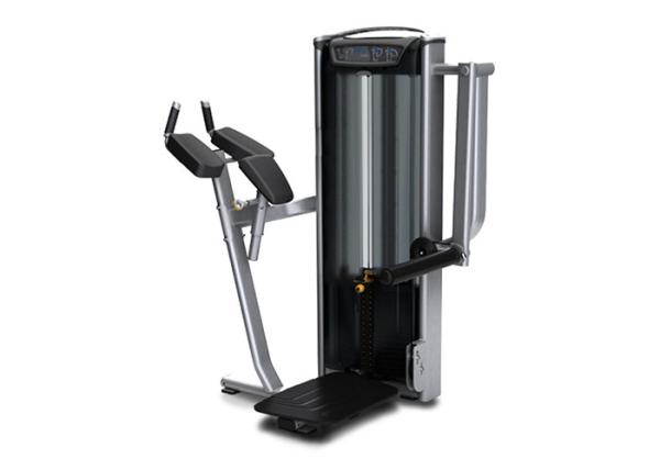 Quality Matrix Bodybuilding Gym Equipment / Hip Machine Color Custom Available for sale