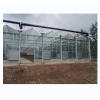 Buy cheap Tempered Glass Covered Agricultural Greenhouse for Growing Vegetables in Holland product