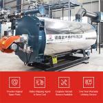 China Price Gas Oil Fired Industrial Thermal Oil Heater Boiler For Plastic