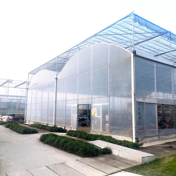 Buy cheap Agriculture Plastic UV Film Poly Tunnel Multi-span Tomato Smart Greenhouse from wholesalers