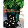 Buy cheap 40 Gal Grow Biodegradable Garden Bags Aeration Fabric Pots Breathable With Handles from wholesalers