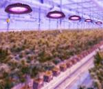Topsung 100watt commercial dimmable veg flower led grow light full spectrum led