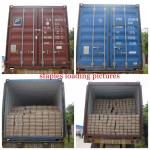 SC-6 C-Ring series galvanized color furniture staples cheap sofa staples