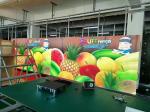 Rental Pro Display Solutions Outdoor Screen Multipurpose P3.9mm