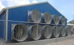 Prefab Light Steel Structure Poultry House Galvanized Steel Frame Chicken Coop