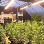 Black Plastic Film Agriculture Poly Tunnel Blackout Light Deprivation Greenhouse