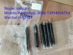 original fuel injector, 4110000054219, engine spare parts for deutz engine