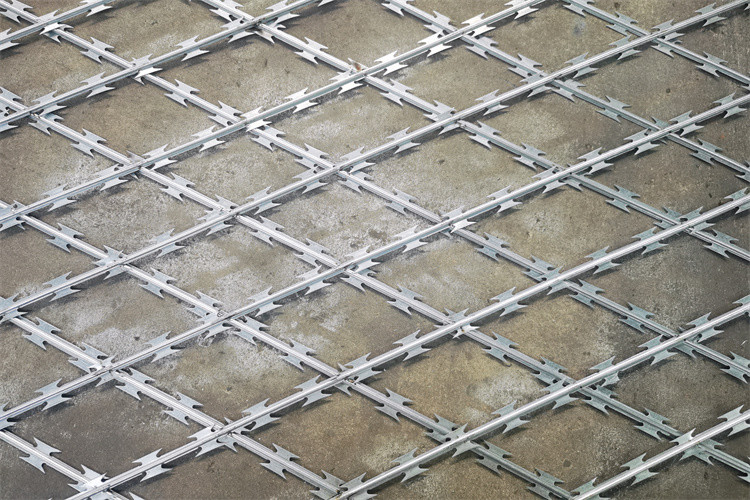 South Africa Bto22 Hot Dipped Galvanized Concertina Razor Barbed Wire Fence For Prision