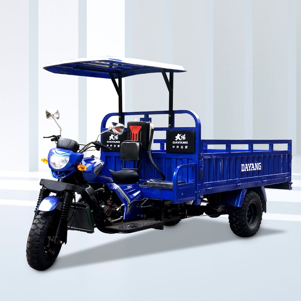 2021 Design Strong Engineering 300cc Gasoline Tricycle Scooter for Heavy Cargo Capacity