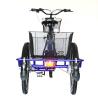 Buy cheap 36V 10Ah Lithium Battery 3 Wheel Electric Tricycle Foldable Electric Trike For Adults from wholesalers