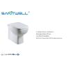 Buy cheap American market WC Wall Faced Toilet , P trap Washdown Dual Flush Two piece toile from wholesalers