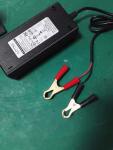 12V100Ah Series Lead Acid Battery Replacement LiFePO4 Battery Pack With Charger