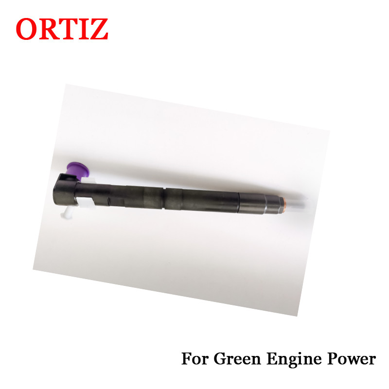 33800-4A70 Delphi Common Rail Injectors Fuel 28229873 For Hyundai H1 Porter Kia Bongo