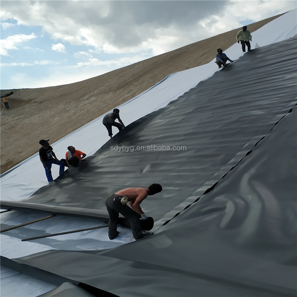 Permavoid Impermeable Geotextile Membrane 100% Virgin HDPE Geomembranes for Fish Pond