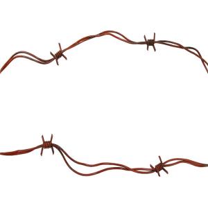 Buy cheap Small Roll Of High Tensile Security Barbed Wire Ribbon Type Wall Spikes On Fence from wholesalers