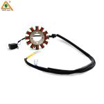 Motorcycle Stator Magnetic Coil Engine Parts CG-12 250W 200W 160W 12-stage