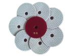 3 Step Dry Diamond Polishing Pads For Concrete / Marble Floor