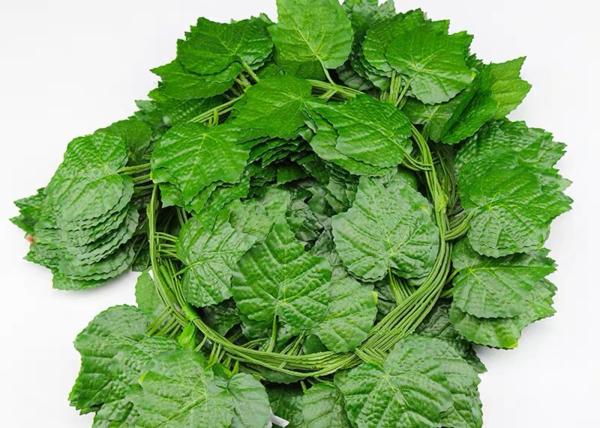 Buy cheap Indoor Outdoor Decor Green 30 Leaves Artificial Tree Vine from wholesalers