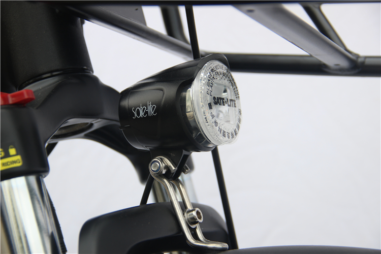 Mini Portable Electric Bike With Detachable Battery Lithium 32kgs