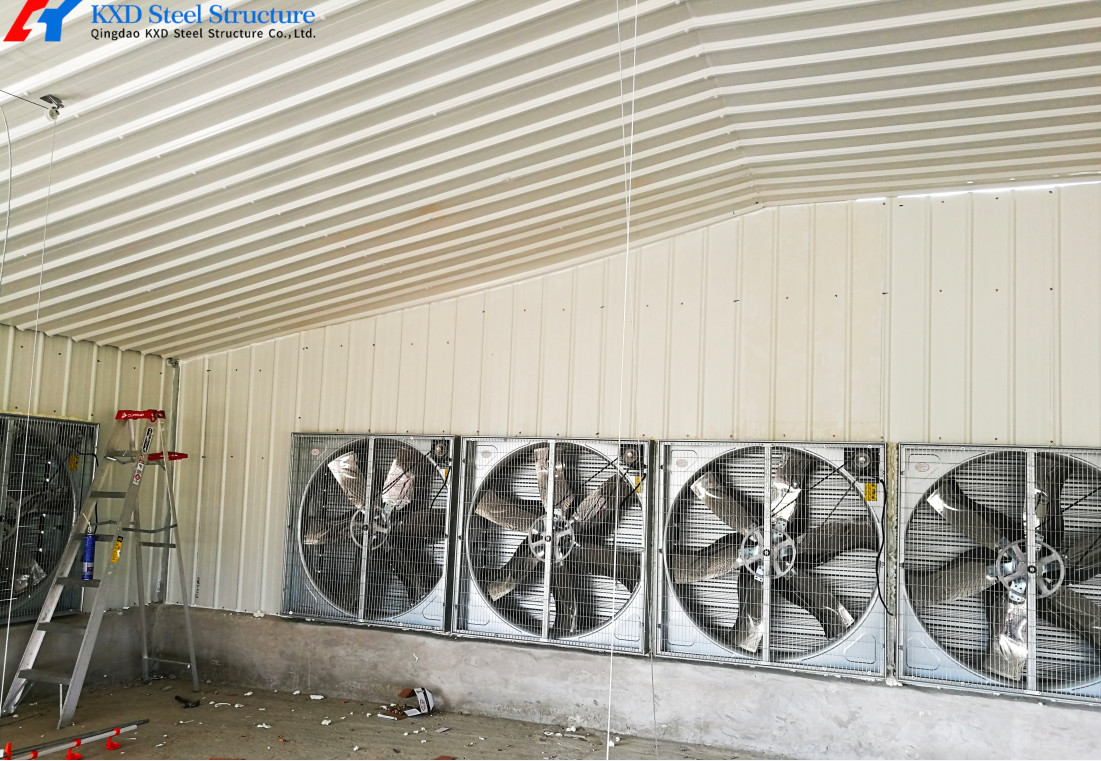 Poultry Farm Chicken Feeding Line Automatic Poultry Pan Feeding System