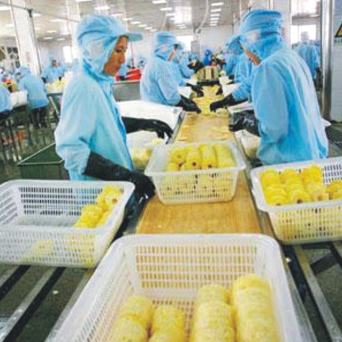 Automatic Pineapple Processing Line With Bottle Packing Machine ISO9001 / CE / SGS