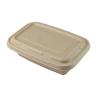 Buy cheap Disposable Biodegradable Sugarcane Bagasse Food Container Set Rectangle from wholesalers