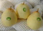 Fresh 200-300g Chinese Ya Pears Sweet Honey Like Flavor