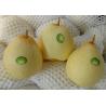Buy cheap 18kg Fresh Chinese Ya Pears Fruit from wholesalers
