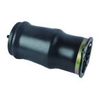 Auto Part Rear Air Suspension Spring For Mercedes Benz W639 OE 6393280101