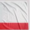 Buy cheap 3x5' Chile National Flag Knitted Polyester Rope And Loops Customized Indoor Outdoor from wholesalers