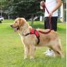 Buy cheap Waterproof Heavy Duty Retractable Dog Lead For Big Dogs Nylon from wholesalers