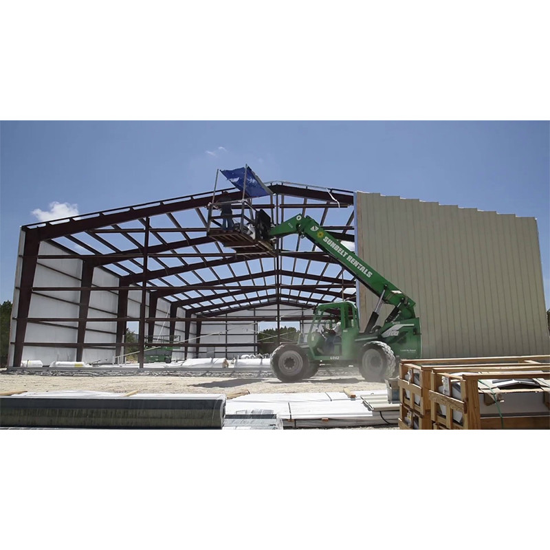 Autocad Designed Light Weight Steel Structure Warehouse Steel Finish Painting Or Hot-Dip Galvanized