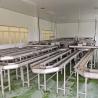 Buy cheap Automatic Mushroom Sauce Glass Bottle Filling Equipment Filling Capping Labeling Machine from wholesalers