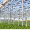 Buy cheap Commercial Greenhouse Double Arch Beam Greenhouses with Snow Vibrator in US Currency from wholesalers