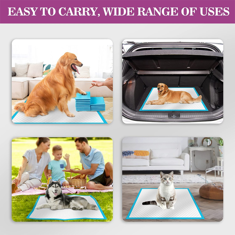 Reusable Potty Pet Diaper Pads for Puppy Training Absorbent Capacity ml 100-2000ml