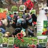 Buy cheap Jingxin Medium Element Water Soluble Biological Fertilizer Prevent Calcium Magnesium Deficiency from wholesalers