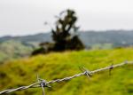 Buy cheap Garden Anti-Theft Single Strand Hot Dipped Galvanized Barbed Wire Price Per Roll from wholesalers