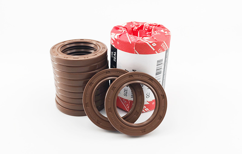 Metal Skeleton Hydraulic Pump Oil Seal FKM NBR Oil Seals Wear Resistant