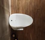 ARROW AKB1303 V6 Smart Sanitary Ware Toilet 1020W 220V 50Hz