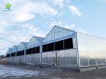 Hot Galvanized Steel Commercial Light Deprivation Greenhouse for Hemp Cultivatio