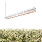 ETL Certification Waterproof LED Grow Lights Aluminum Body 160° Beam Angle