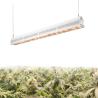 Buy cheap ETL Certification Waterproof LED Grow Lights Aluminum Body 160° Beam Angle from wholesalers