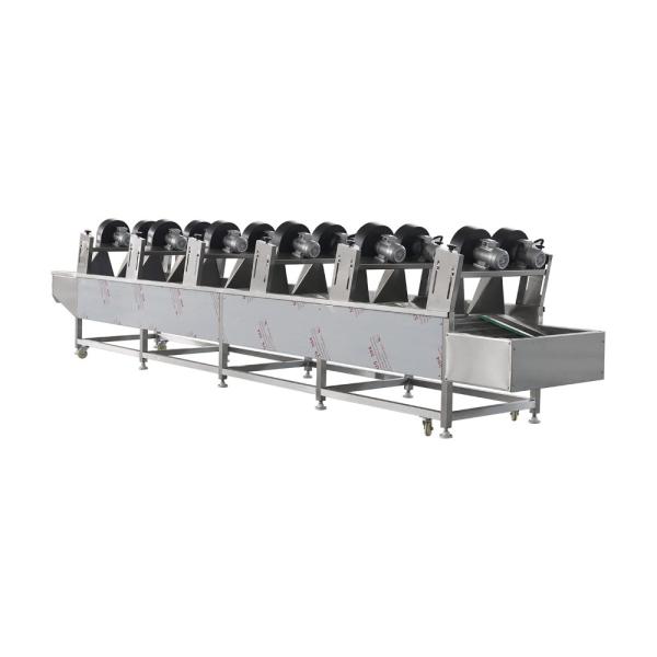 Energy Efficient Large Commercial Fruit and Vegetable Drying Machine for Cost Savings