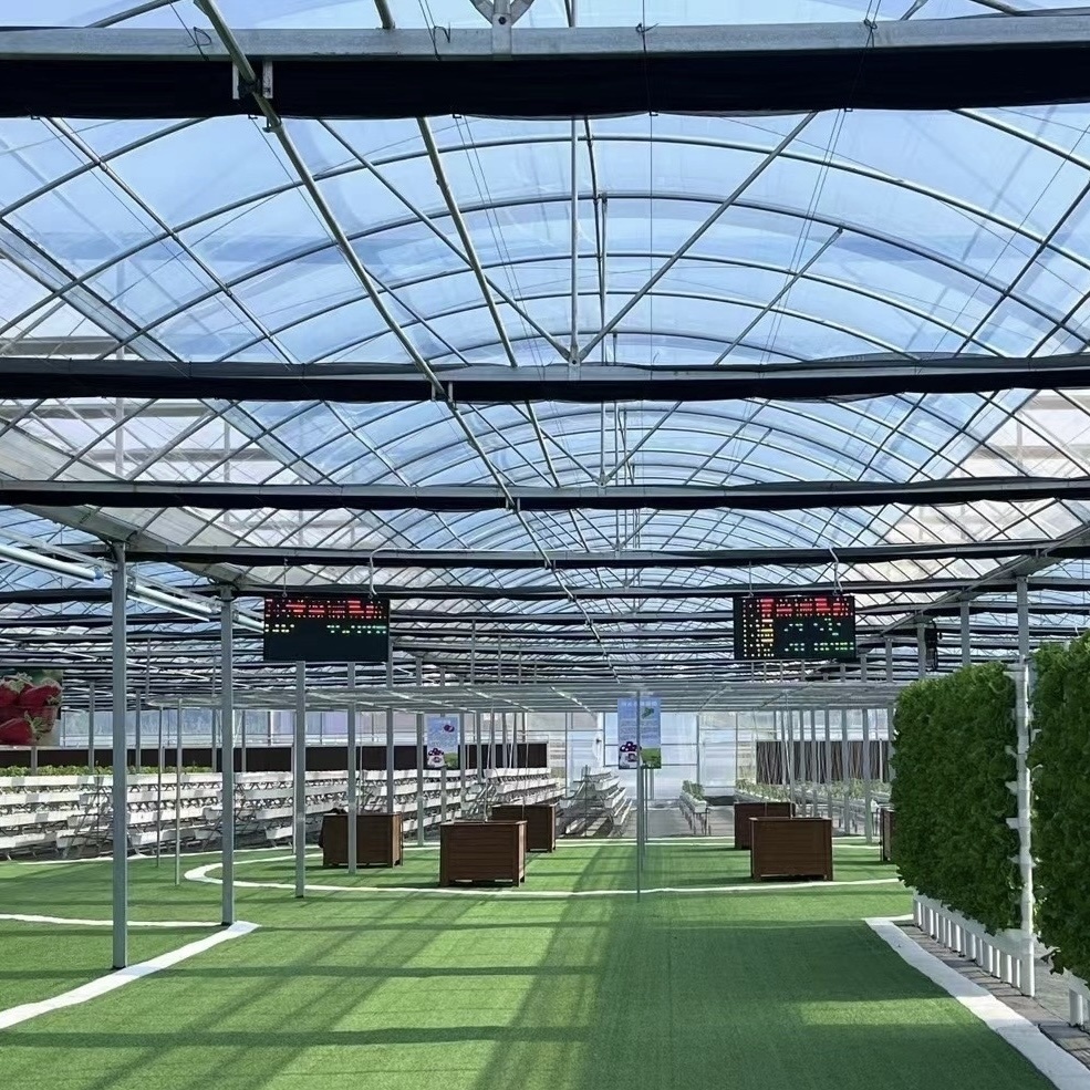 Trademark Multi-Span Greenhouse for Vegetable Production
