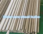 ASTM A789 A789M Seamless Boiler Tube Ferritic Austenitic Stainless Steel Tubing