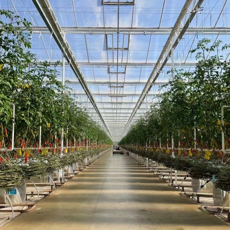Guaranteed Quality Proper Price Intelligent Garden Glass Frame Agriculture Greenhouse Sale