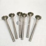 High Quality Excavator Auto Parts Engine Parts NT855 Exhaust Valve 3040830