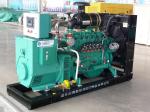 CNG LNG gas generator natural gas generator 300kw